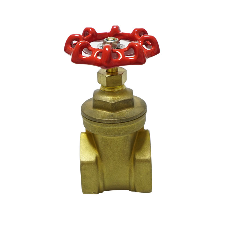 Gate Valve və Stop valve Arasındakı Fərq